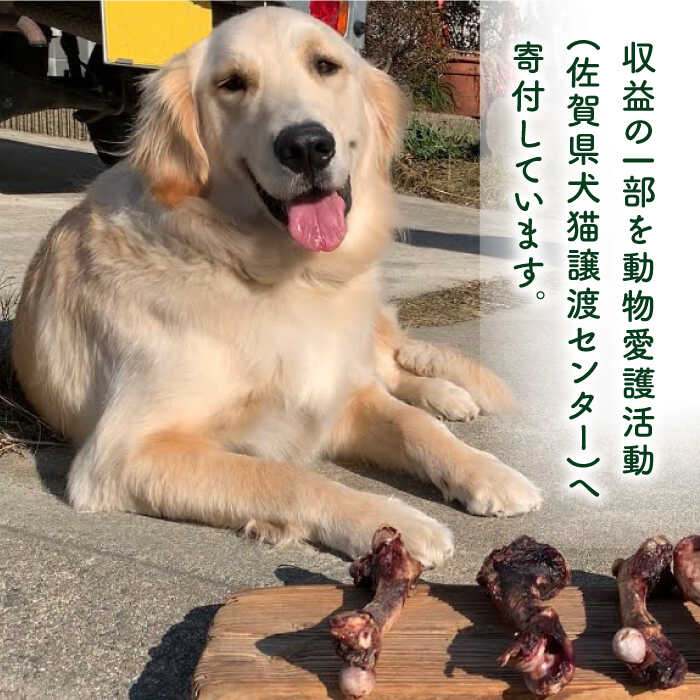 6回定期便＞大型犬向け☆天然いのししのスモーク骨ガム3本 わんこin