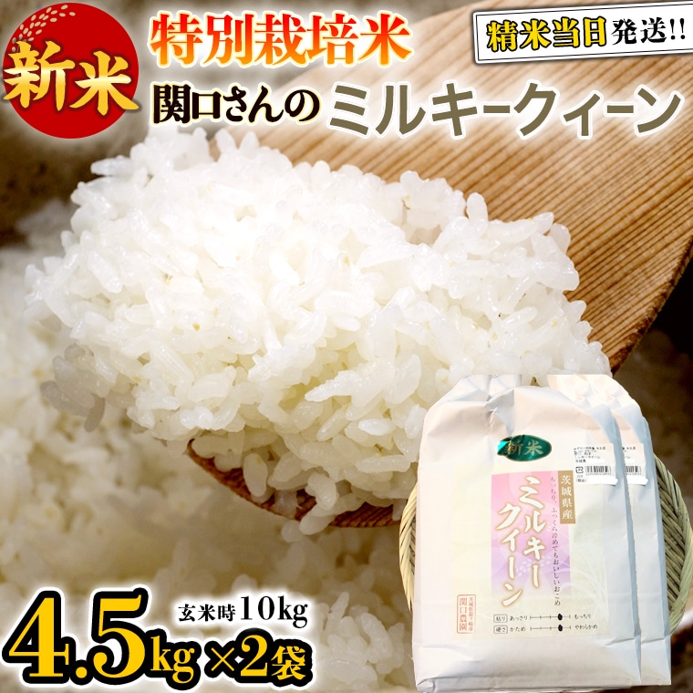 割り引き 特別栽培米 ミルキークィーン 白米 10kg