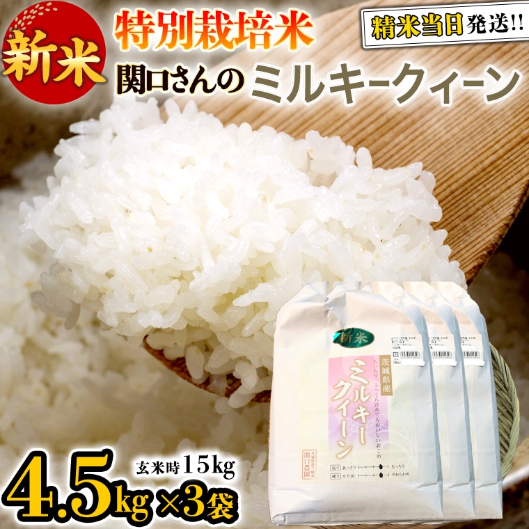 新米　令和2年産　ミルキークイーン玄米30㎏　米/穀物