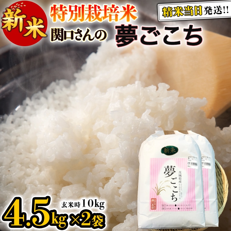 SALE／78%OFF】米 10kg 夢ごこち 令和4年産 分つき米 丹後産 玄米 特別