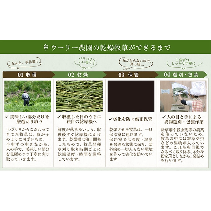 【うさぎ用】ウーリー農園産牧草(超若刈り麦400g): 長野県富士見町｜JRE MALLふるさと納税