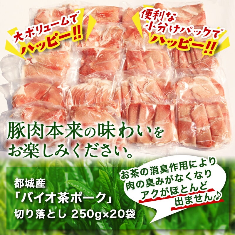 ふるさと納税 都城市 バイオ茶ポークハッピーセット5kg-