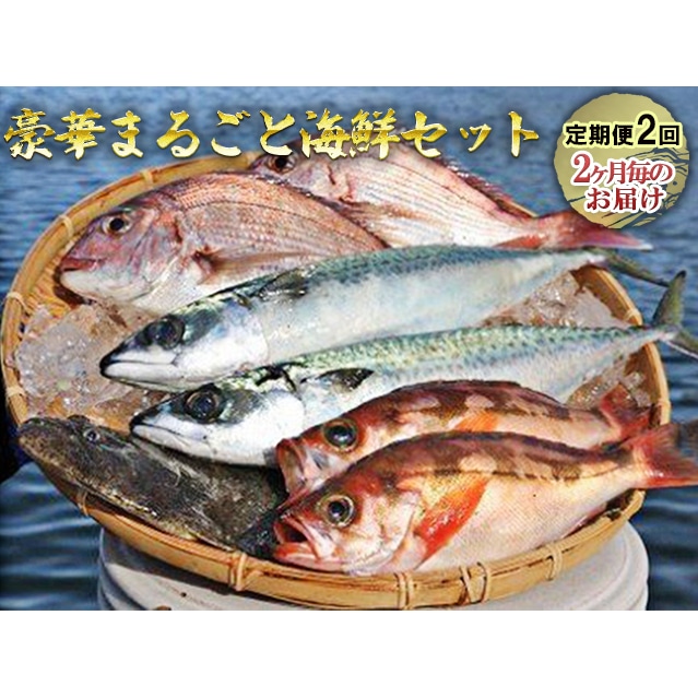 豪華まるごと海鮮セット定期便2回お届け: 青森県深浦町｜JRE MALLふるさと納税