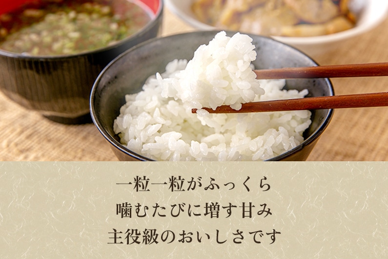 令和5年産新米】新潟県加茂市 七谷産 棚田米コシヒカリ 精米20kg（5kg