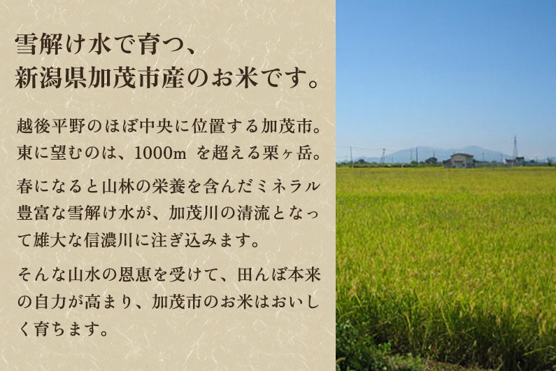 令和5年産新米】新潟県加茂市産 特別栽培米コシヒカリ 精米25kg（5kg×5