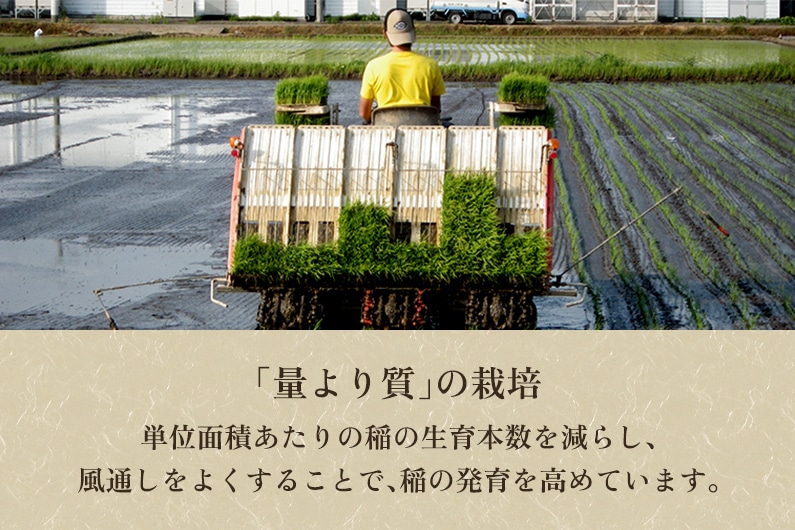 令和5年産新米】新潟県加茂市産 特別栽培米コシヒカリ 精米25kg（5kg×5