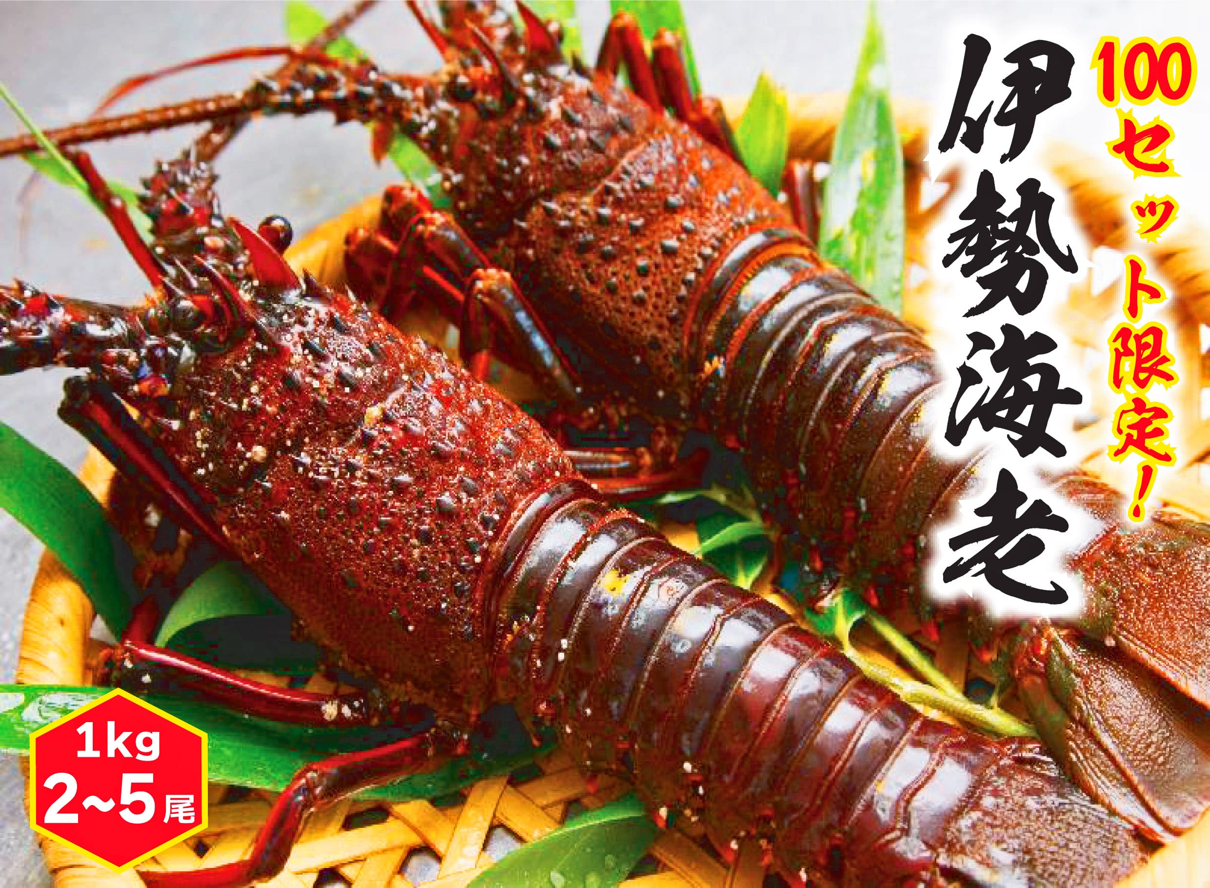 KBL-7 鹿嶋産地直送☆【生】伊勢海老 1kg 2~5尾 伊勢エビ 送料無料