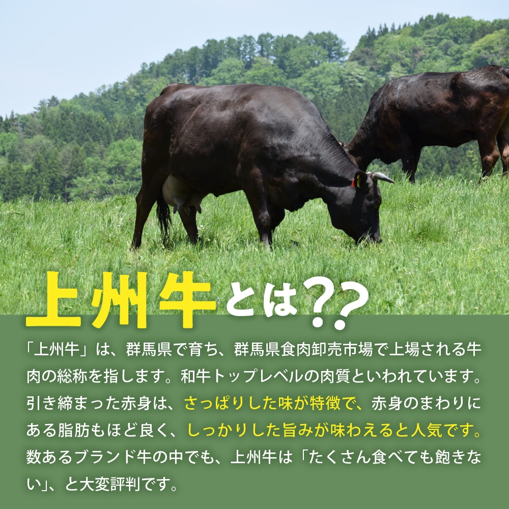 牛肉 ハンバーグ （180g×5個）手こね 上州牛100％！群馬県 千代田町: 群馬県千代田町｜JRE MALLふるさと納税