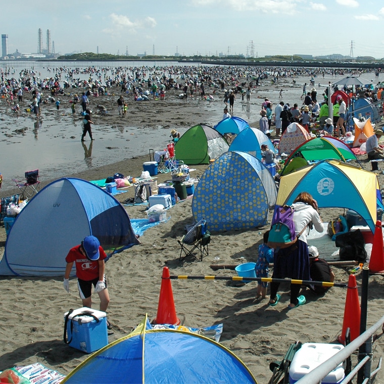 江川海岸 潮干狩り 大人2枚 小人2枚 | bumblebeebight.ca