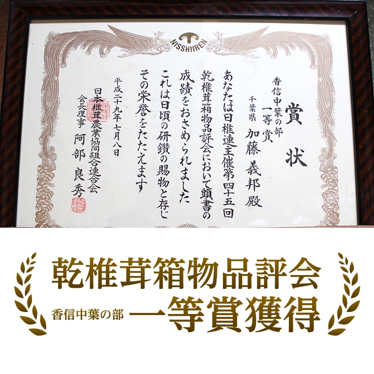 ◇加藤さんちの【原木栽培】干ししいたけ400g（小分けタイプ）: 千葉県富津市｜JRE MALLふるさと納税