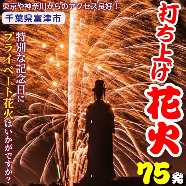 プライベート花火 個人向け打ち上げ花火 2 4号玉 計75発 千葉県富津市 Jre Pointが 貯まる 使える Jre Mall