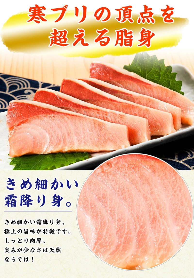 北海道知床羅臼産 海の味覚贅沢 5 種セット 開きほっけ イカ一夜干し 冷凍ほたて ブリ刺身柵 正油いくら 魚 海産物 魚介 魚介類 F21m 621 北海道羅臼町 Jre Mallふるさと納税