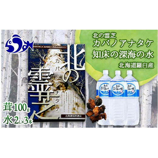 知床深海の水と北の霊芝カバノアナタケ茶セット F21M-474: 北海道羅臼