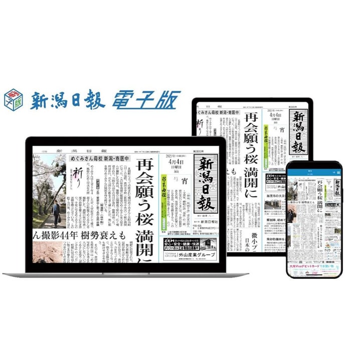 ふるさと納税 新潟日報電子版（朝刊＋おとなプラス）3カ月