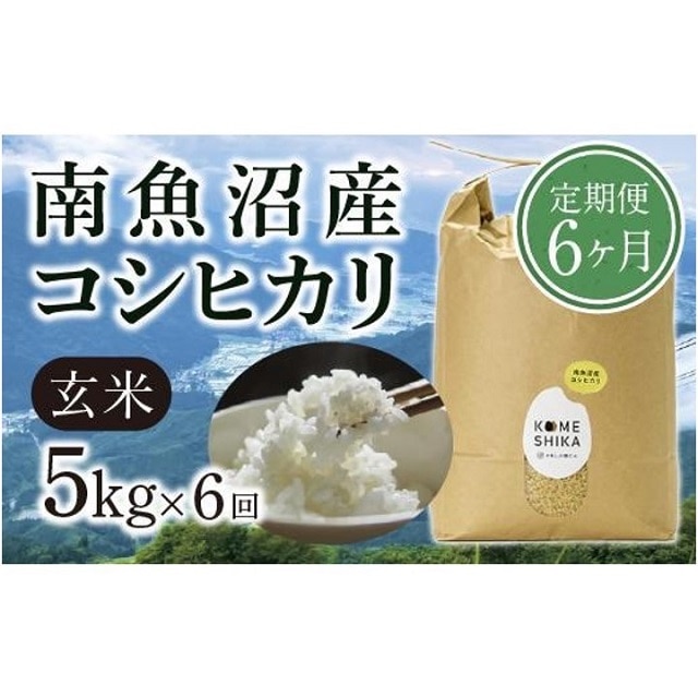 特別栽培米 コシヒカリ 玄米 5kg 従来品種 従来コシヒカリ お米 米