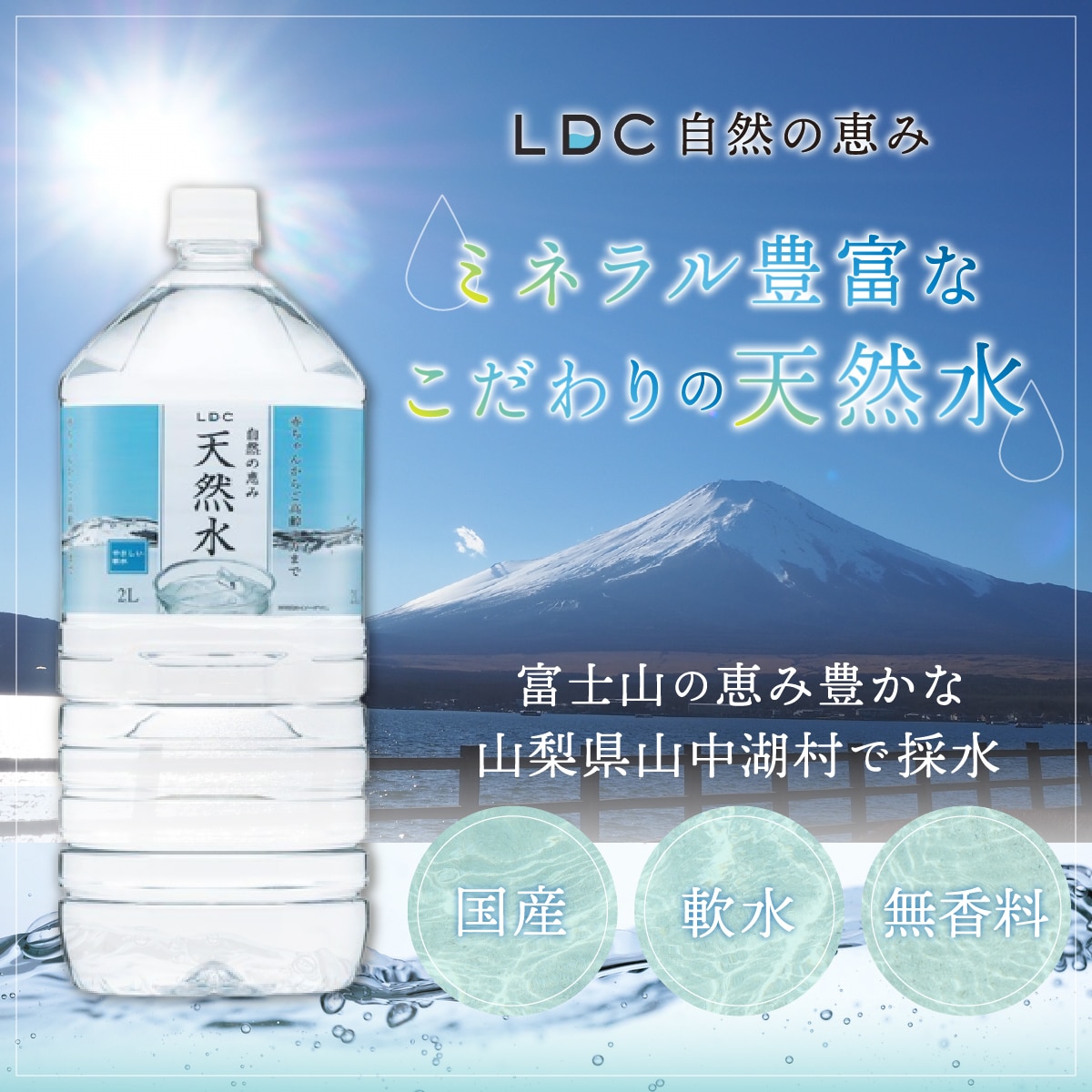 12カ月定期便】自然の恵み天然水 ２L×１２本（６本入り２ケース） 計