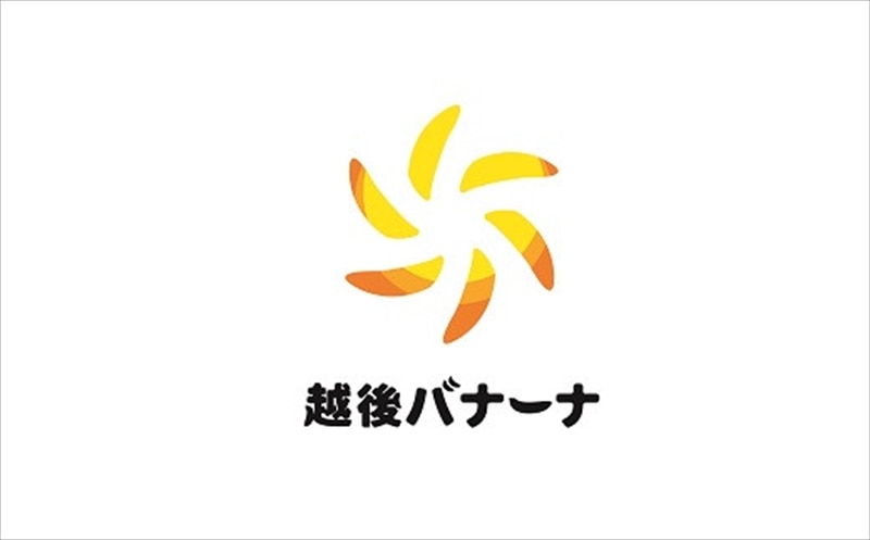 定期便・雪国新潟産バナナ】3本（350g）×6回 濃厚な甘さともっちり食感