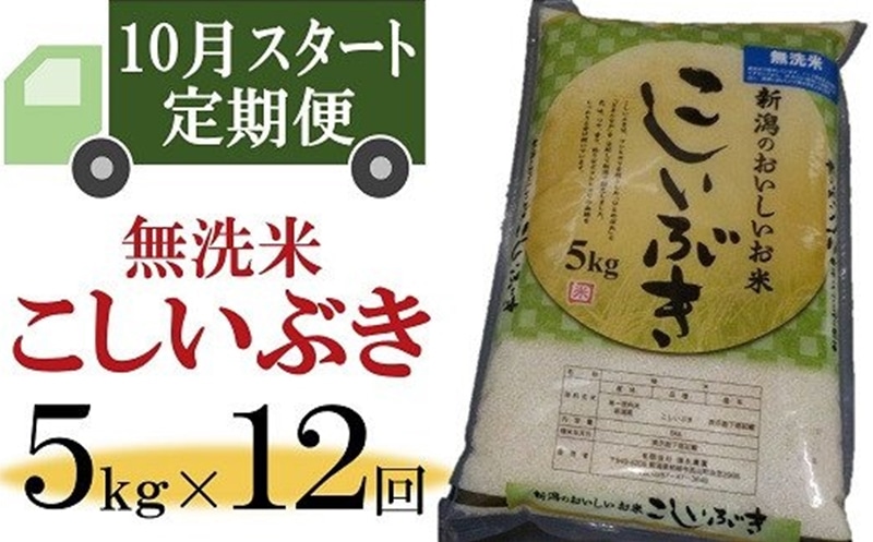 市場 ふるさと納税 レトルトパックごはん 新潟県柏崎産こしひかりのご飯