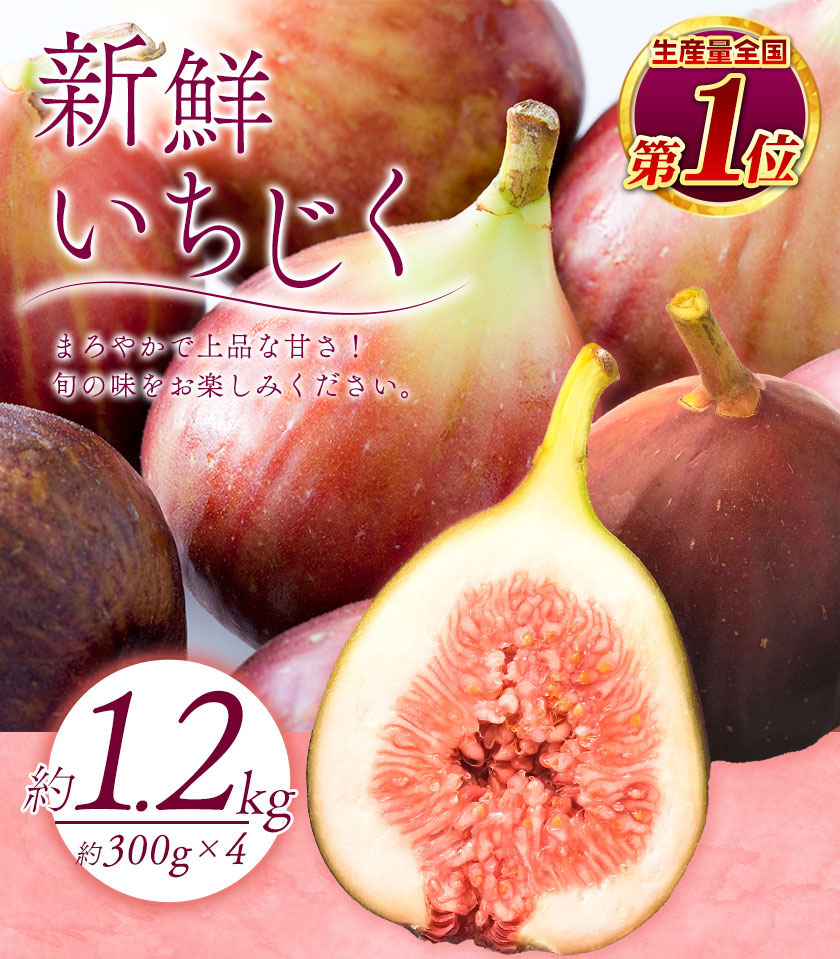 和歌山県紀の川市産 新鮮いちじく 合計1 2kg 約300g 4パック入り 8月下旬 10月末頃より順次出荷 紀の川市厳選館 和歌山県 紀の川市 無花果 イチジク Wsk Ctmitjk C810 22 9000 4p 和歌山県紀の川市 Jre Pointが 貯まる 使える Jre Mall