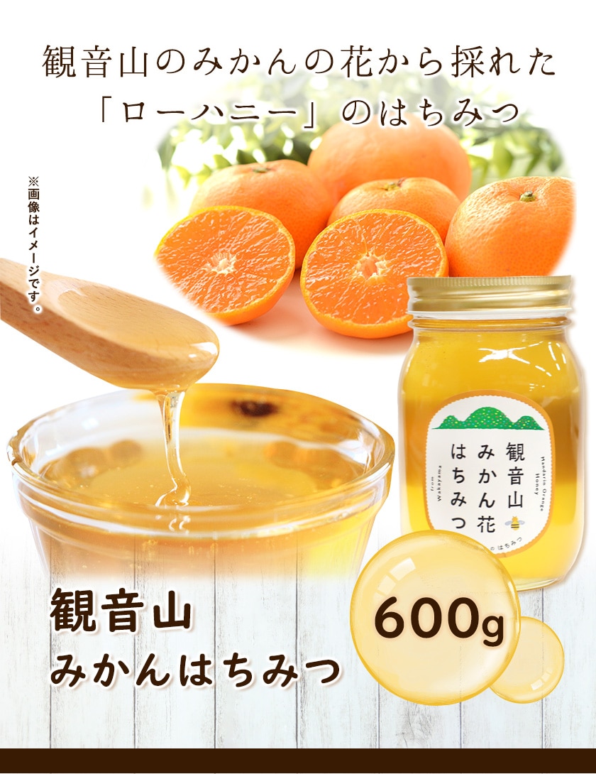 観音山みかんはちみつ600g 有限会社柑香園 90日以内に順次出荷 土日祝除く 和歌山県 紀の川市 蜂蜜 ハチミツ ローハニー Wsk Kcemhoney 90d 22 600g 和歌山県紀の川市 Jre Mallふるさと納税