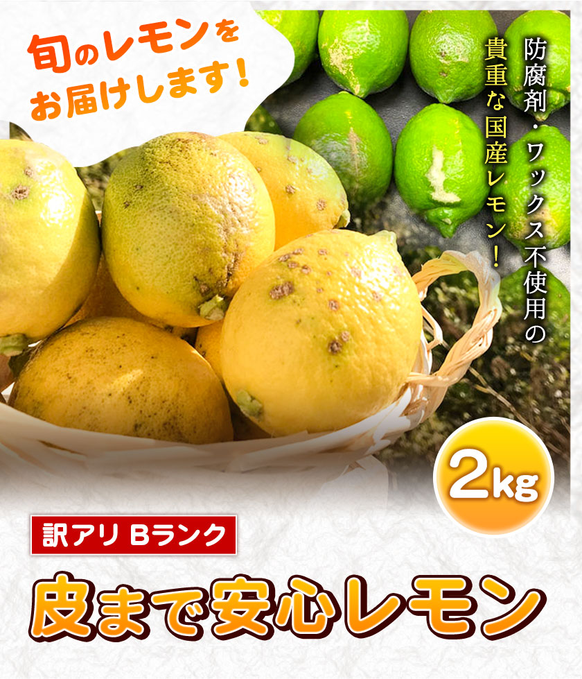 訳ありbランク 皮まで安心レモン 2kg 黒潮フルーツファーム 22年10月中旬 23年4月中旬頃より順次出荷 和歌山県 紀の川市 レモン Wsk Krkasrmn Q104 22 6000 2kg 和歌山県紀の川市 Jre Pointが 貯まる 使える Jre Mall