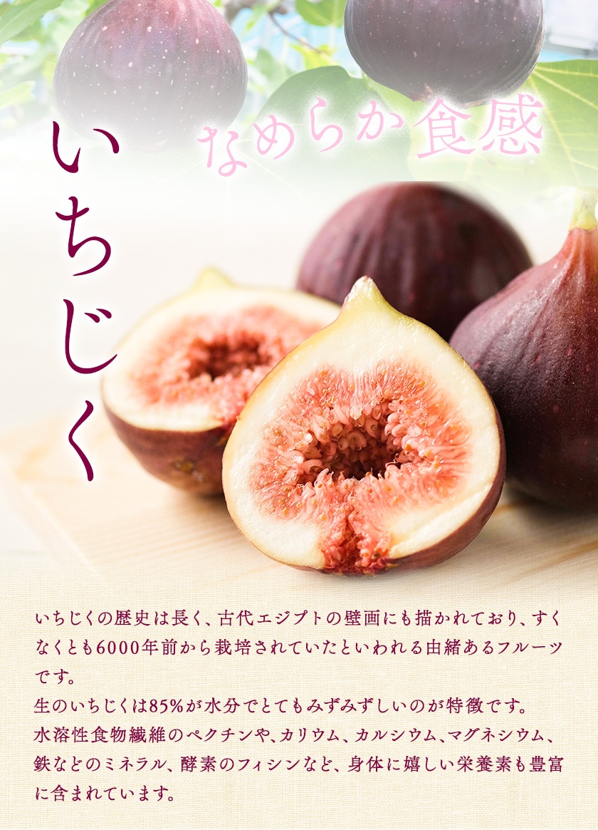 和歌山県紀の川市産 新鮮いちじく 合計1 2kg 約300g 4パック入り 8月下旬 10月末頃より順次出荷 紀の川市厳選館 和歌山県 紀の川市 無花果 イチジク Wsk Ctmitjk C810 22 9000 4p 和歌山県紀の川市 Jre Pointが 貯まる 使える Jre Mall