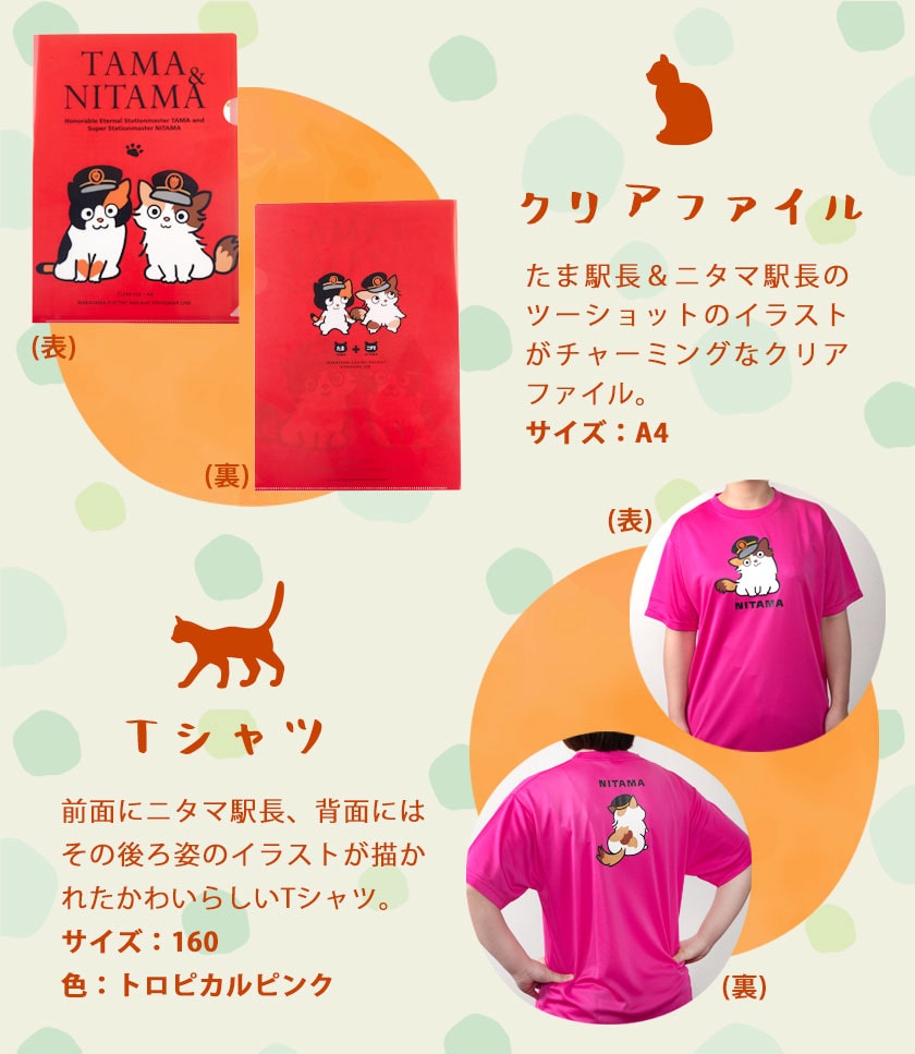 ニタマ駅長ｔシャツ たまニタマクリアファイルセット 160 和歌山電鐵株式会社 90日以内に順次出荷 土日祝除く 和歌山県 紀の川市 Wsk Denntt 90d 22 2p 160 160 和歌山県紀の川市 Jre Mallふるさと納税