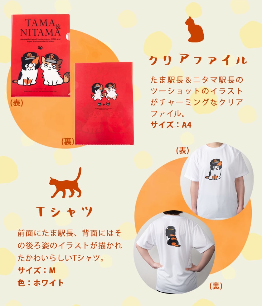 たま駅長tシャツ たまニタマクリアファイルセット Mサイズ 和歌山電鐵株式会社 90日以内に順次出荷 土日祝除く 和歌山県 紀の川市 Wsk Dentmt 90d 22 2p M Mサイズ 和歌山県紀の川市 Jre Mallふるさと納税