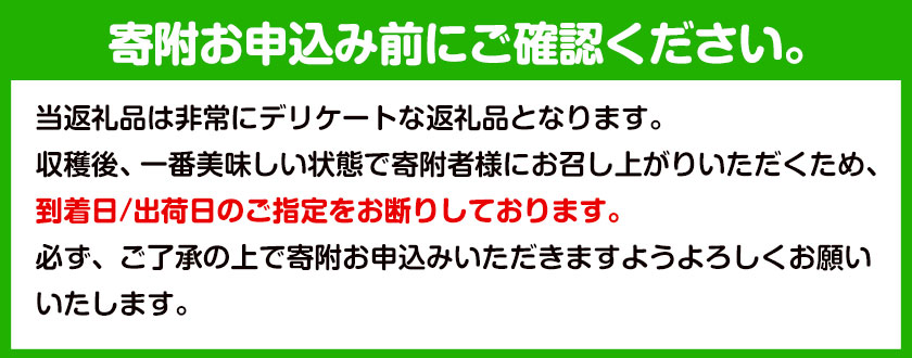 和歌山県紀の川市産 紀州白桃（ご家庭用） 11-16玉入り 株式会社松源