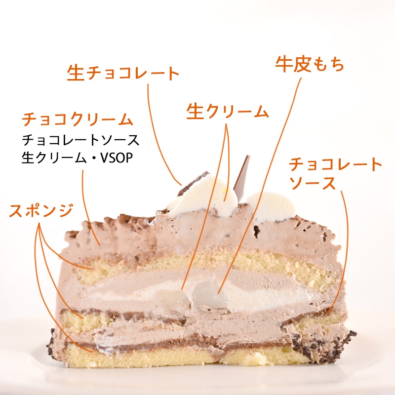 生チョコモンブラン 冷凍ケーキ 12cm 1台 大阪府泉佐野市 Jre Mallふるさと納税