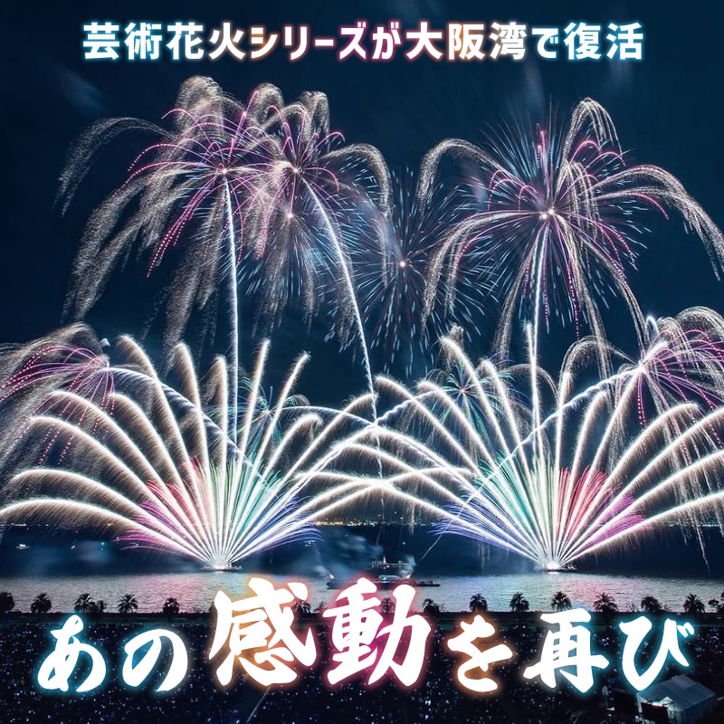 大阪湾りんくう芸術花火2023 観覧チケット 大人1席分: 大阪府泉佐野市