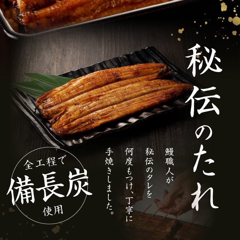 16900円 新入荷 ふるさと納税 曽於市 うなぎ蒲焼Bセット 約200g×3