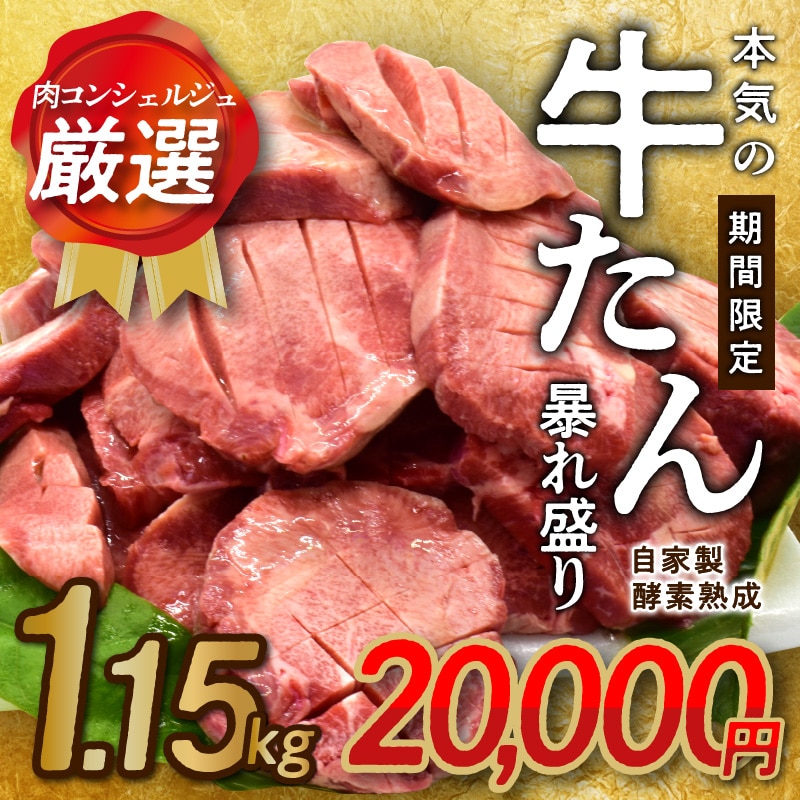 セール開催中最短即日発送 ふるさと納税 牛タン 約750g 250g×3 特製ねぎ塩タレ 焼肉用 小分け 牛たん 緊急支援 期間限定 大阪府泉佐野市  tronadores.com