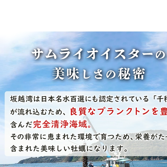 2024年1月中旬～2024年4月下旬】牡蠣 生食 坂越かき 殻付き 80個(牡蠣