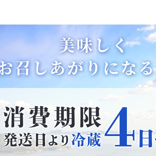 坂越かき むき身500g×1、殻付き12個(牡蠣ナイフ・軍手付き)サムライオイスター《配送不可エリア：北海道、沖縄、離島》: 兵庫県赤穂市｜JRE  MALLふるさと納税