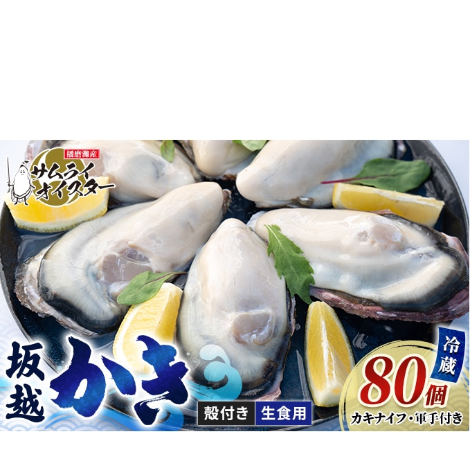 2024年1月中旬～2024年4月下旬】牡蠣 生食 坂越かき 殻付き 80個(牡蠣