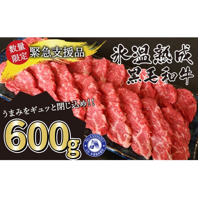 牛肉 氷温(R)熟成 黒毛和牛 焼肉 800g G-59: 熊本県錦町｜JRE MALLふるさと納税