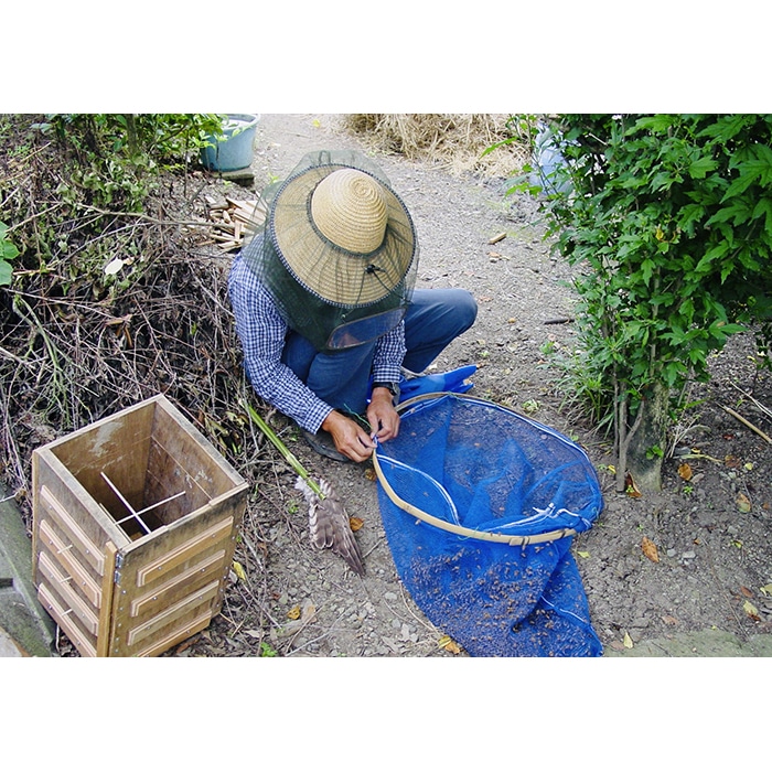 日本みつばちの蜂蜜600g F21K-043: 群馬県下仁田町｜JRE MALLふるさと納税