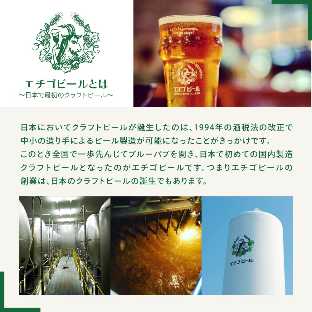 クラフトビール エチゴビール FLYING IPA 350ml 缶 12本 地ビール