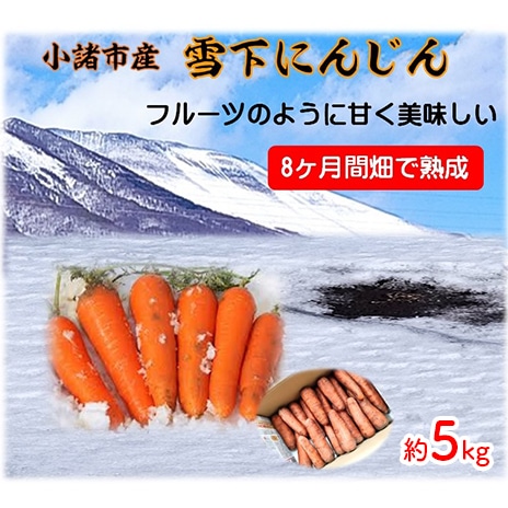 正規販売店】-小諸産 雪下にんじん（土つき）約10kg お届け：2023年3