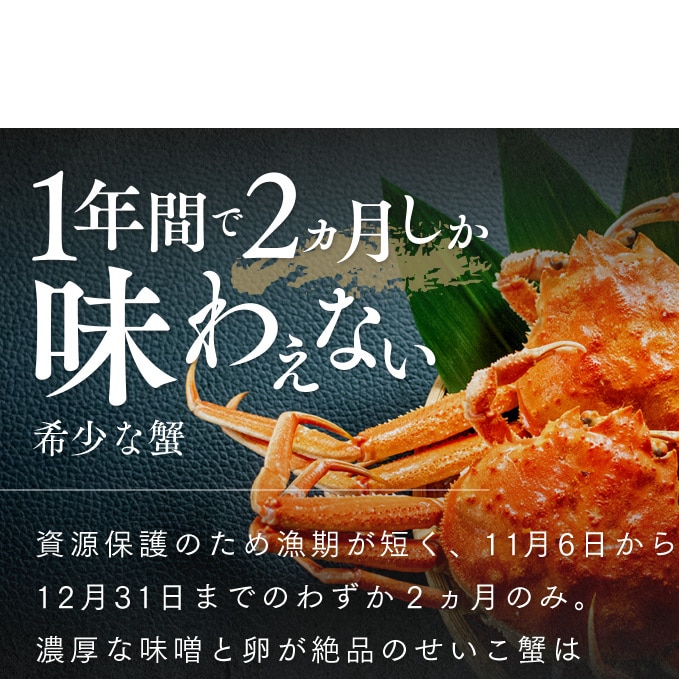 冬の味覚 茹でセイコガニ（メス） 5ハイ せいこ蟹 せいこがに せいこかに セイコカニ 蟹 かに カニ 雌: 福井県若狭町｜JRE MALLふるさと納税