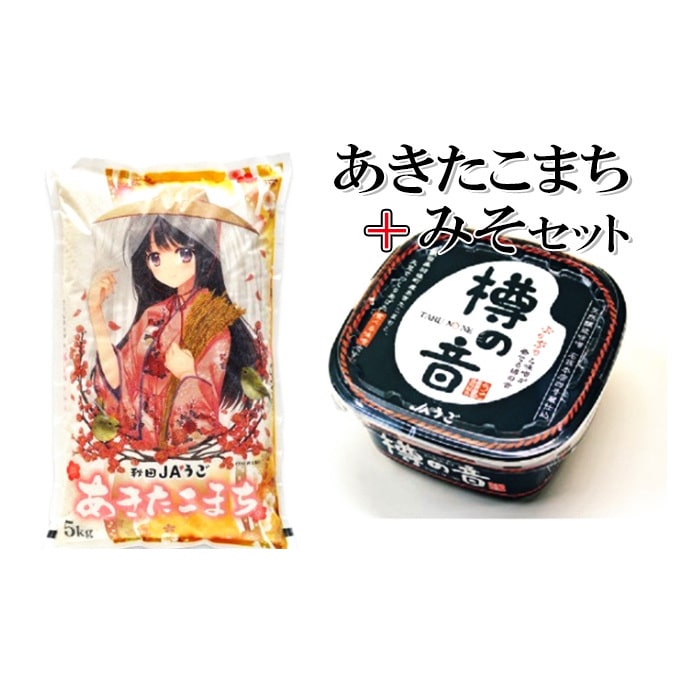 美少女イラスト 粒がひと回り大きい 高品質米 あきたこまち 5kg＋味噌