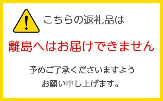 2023年11月下旬より順次発送] りんご 詰め合わせ 10kg (32～36玉