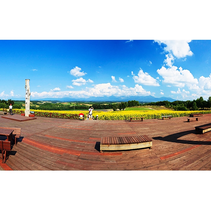 トリックアート美術館・ファミリー（4名）入館券: 北海道上富良野町