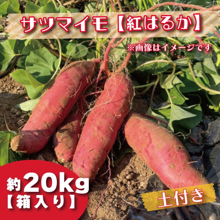 BZ-34 【先行予約】【2023年度産】約20kg箱入りサツマイモ（紅はるか