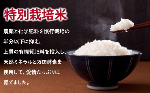 令和5年産米】ライズ・インの特別栽培米 つや姫無洗米 7kg（5kg+2kg