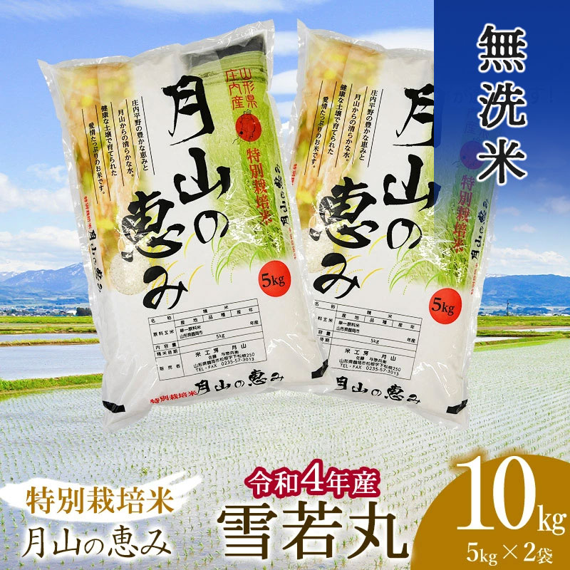 雪若丸　10kg  山形　特別栽培米　令和4年産