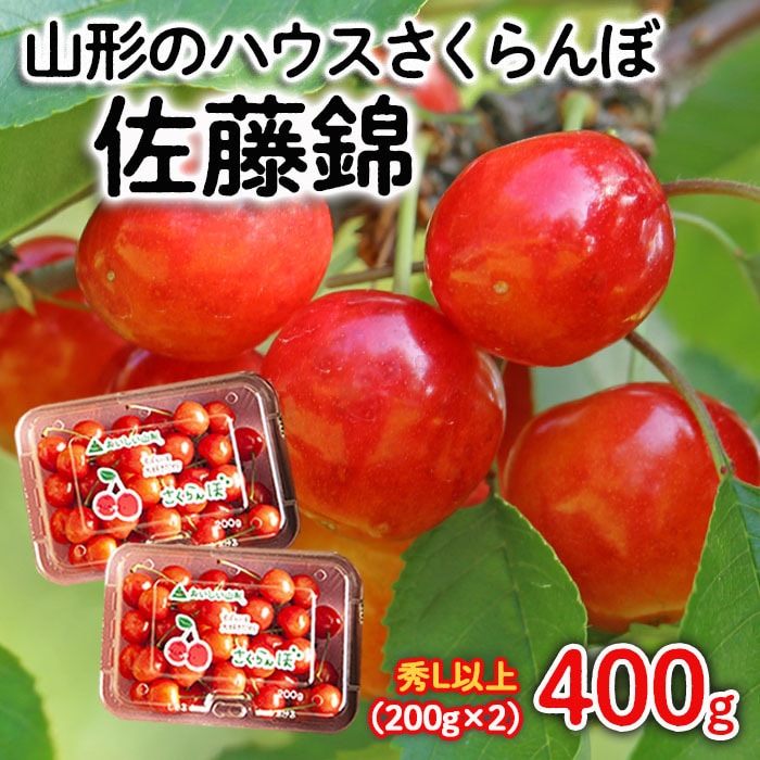 高品質】 さくらんぼ 佐藤錦 200g×2 agapeeurope.org