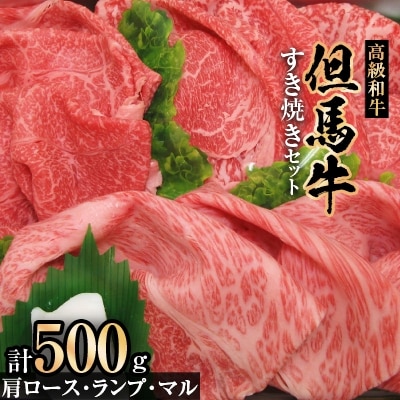 ふるさと納税 新温泉町 但馬牛焼肉セット【500g】-