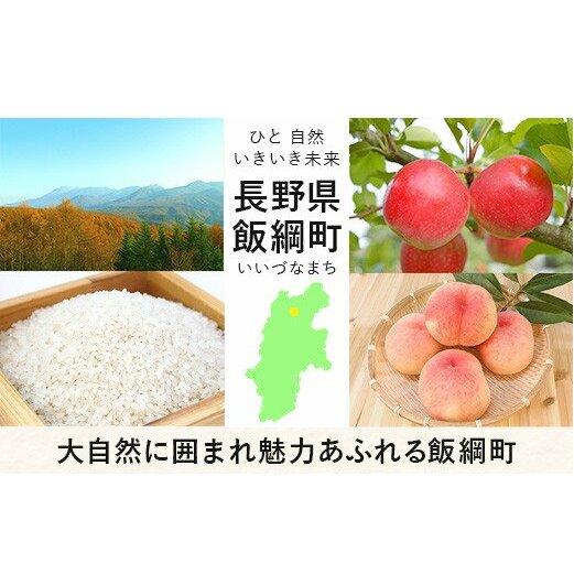 ポイント5倍 令和4年度収穫長野県産玄米 - 通販